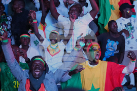Senegal Africa Cup Of Nations Soccer