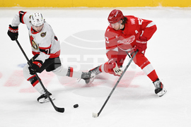 Senators Red Wings Hockey