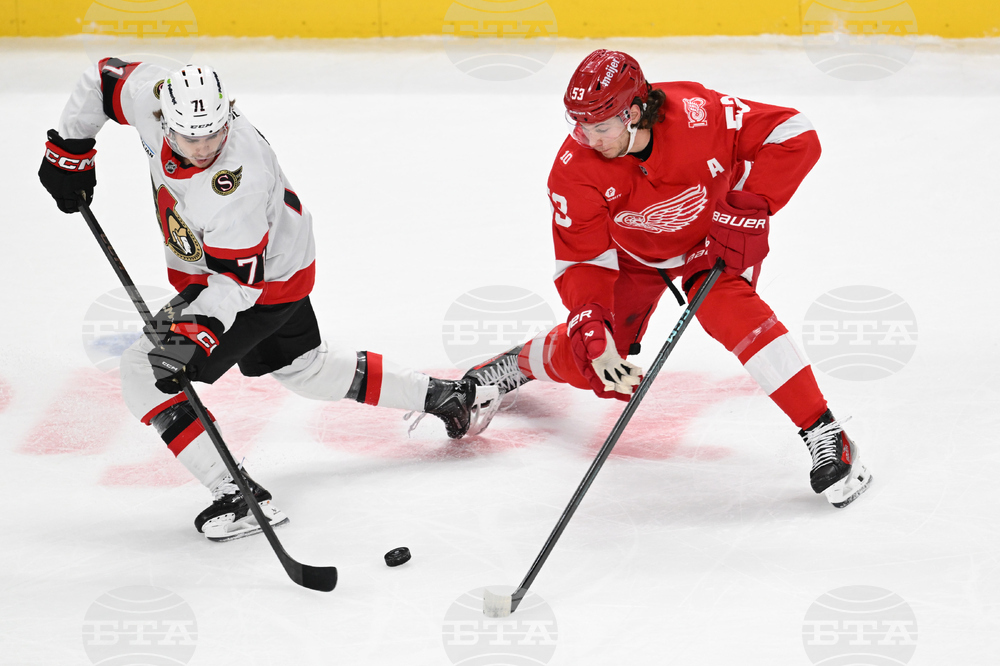 Senators Red Wings Hockey