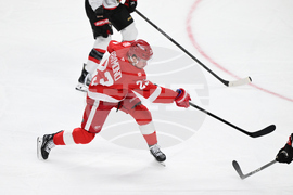 Senators Red Wings Hockey