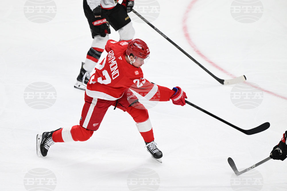 Senators Red Wings Hockey