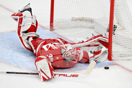 Senators Red Wings Hockey