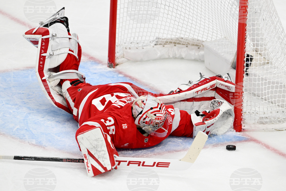 Senators Red Wings Hockey