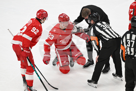 Senators Red Wings Hockey