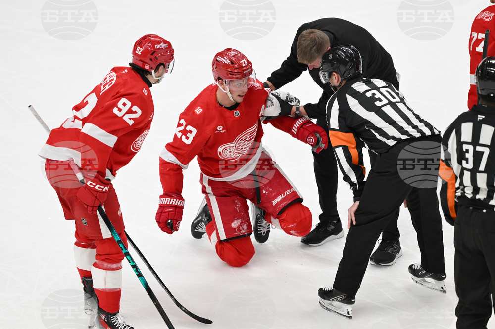 Senators Red Wings Hockey