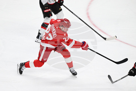 Senators Red Wings Hockey