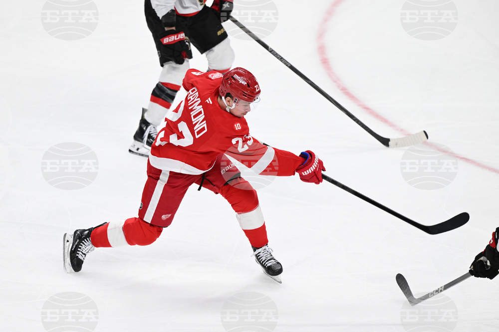 Senators Red Wings Hockey