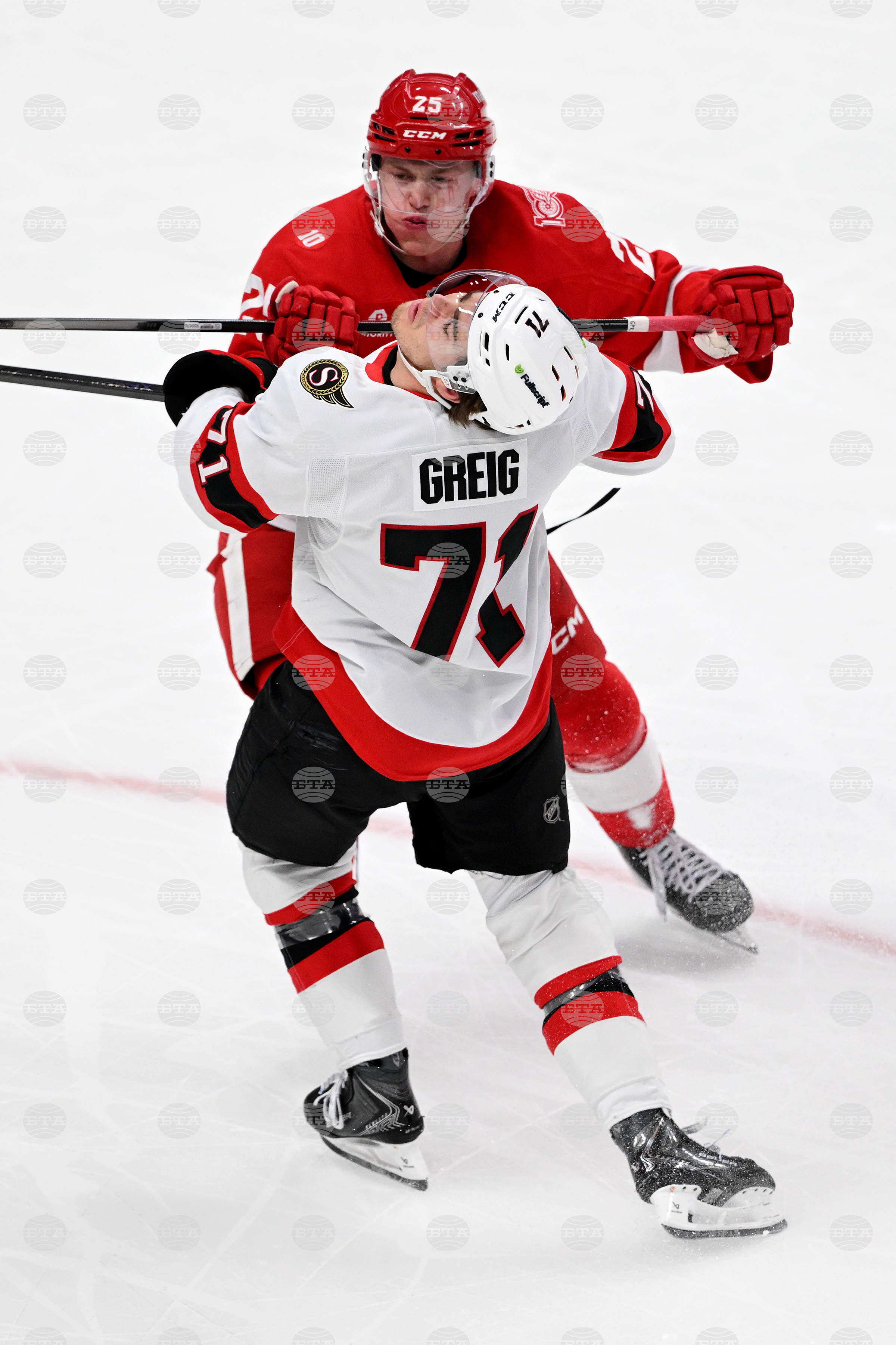 Senators Red Wings Hockey