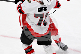 Senators Red Wings Hockey