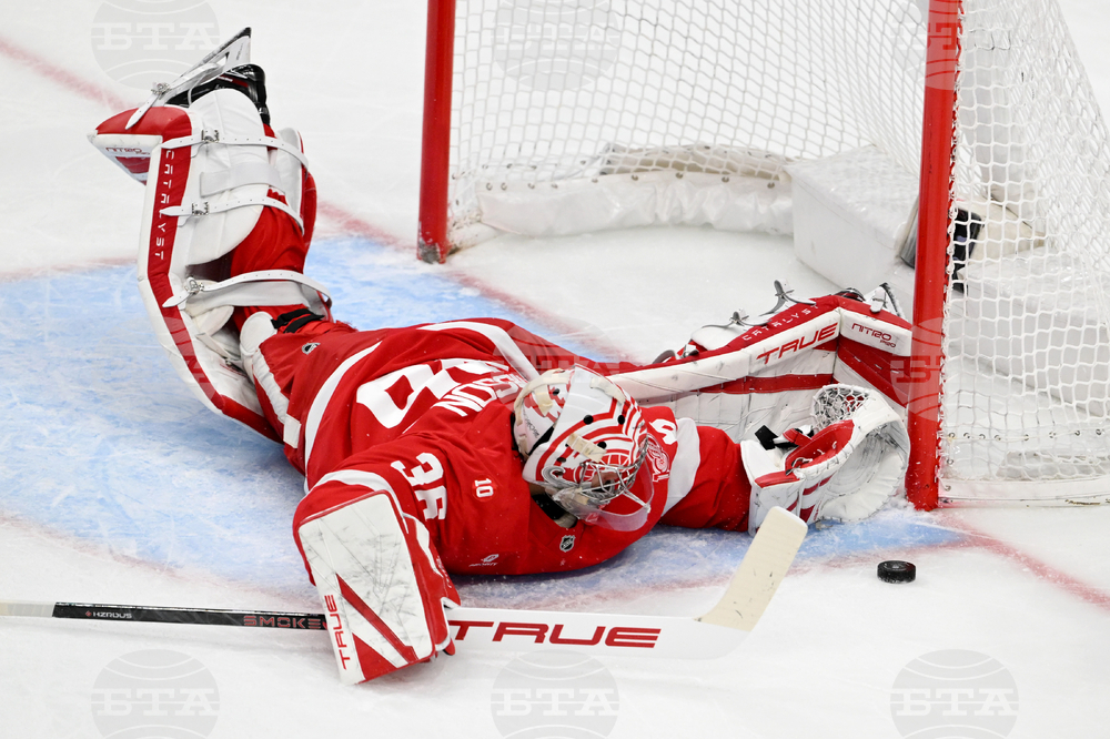 Senators Red Wings Hockey