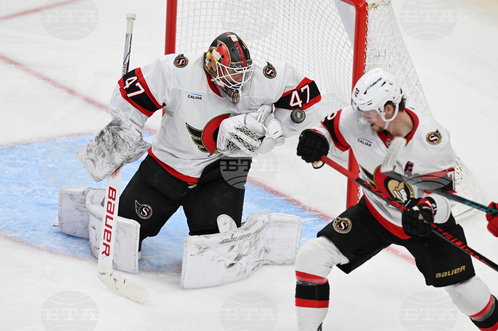 Senators Red Wings Hockey