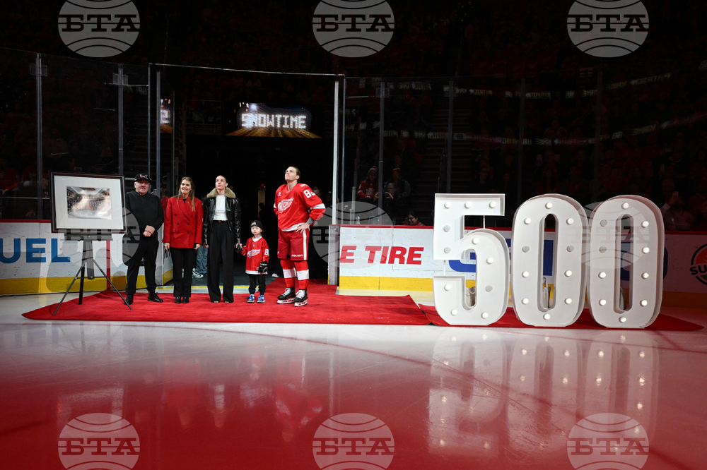 Senators Red Wings Hockey