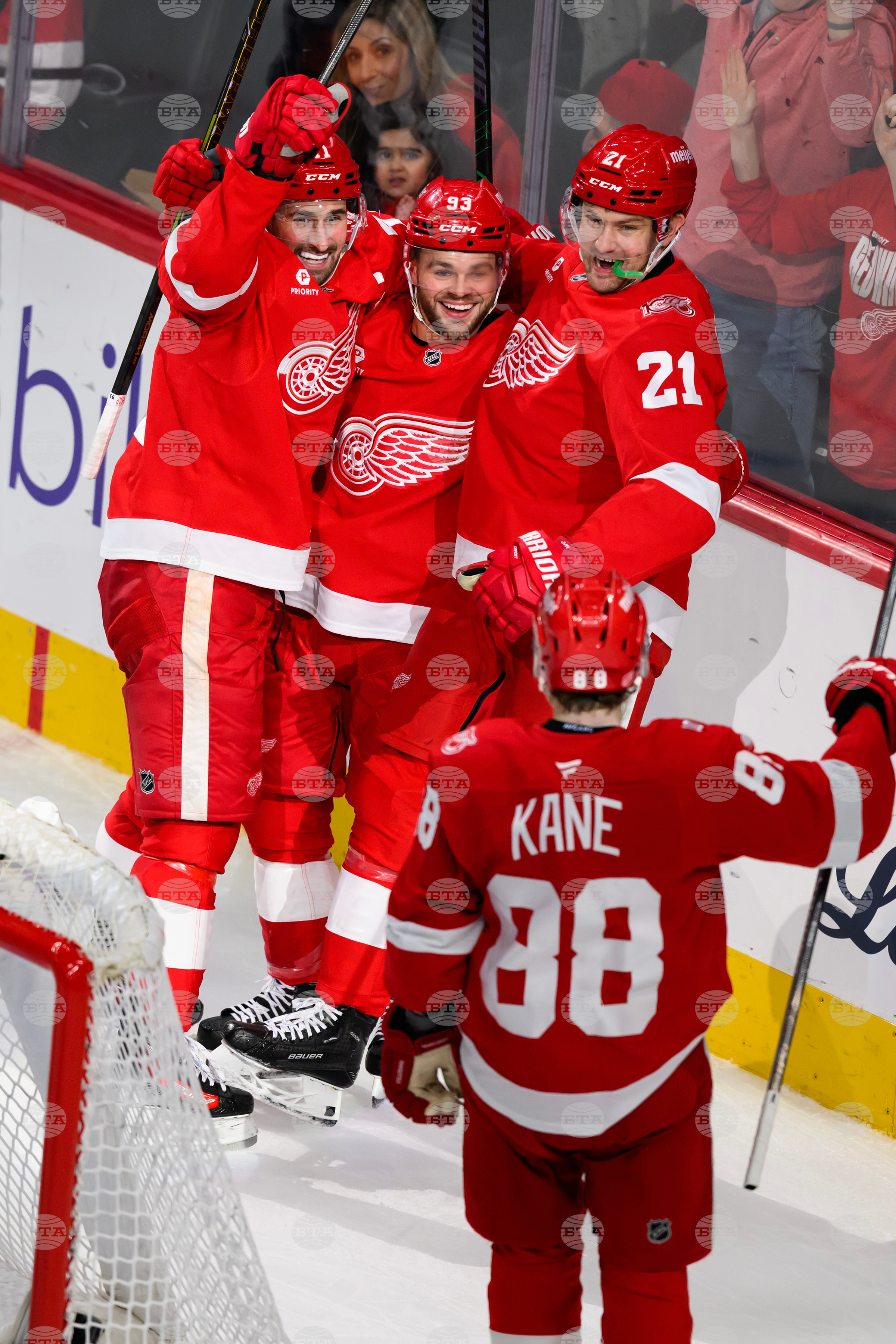 Senators Red Wings Hockey