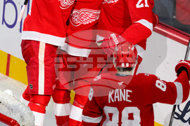 Senators Red Wings Hockey