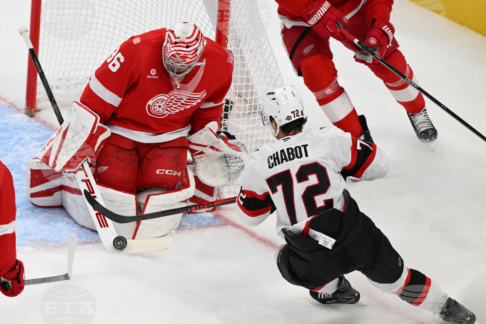 Senators Red Wings Hockey