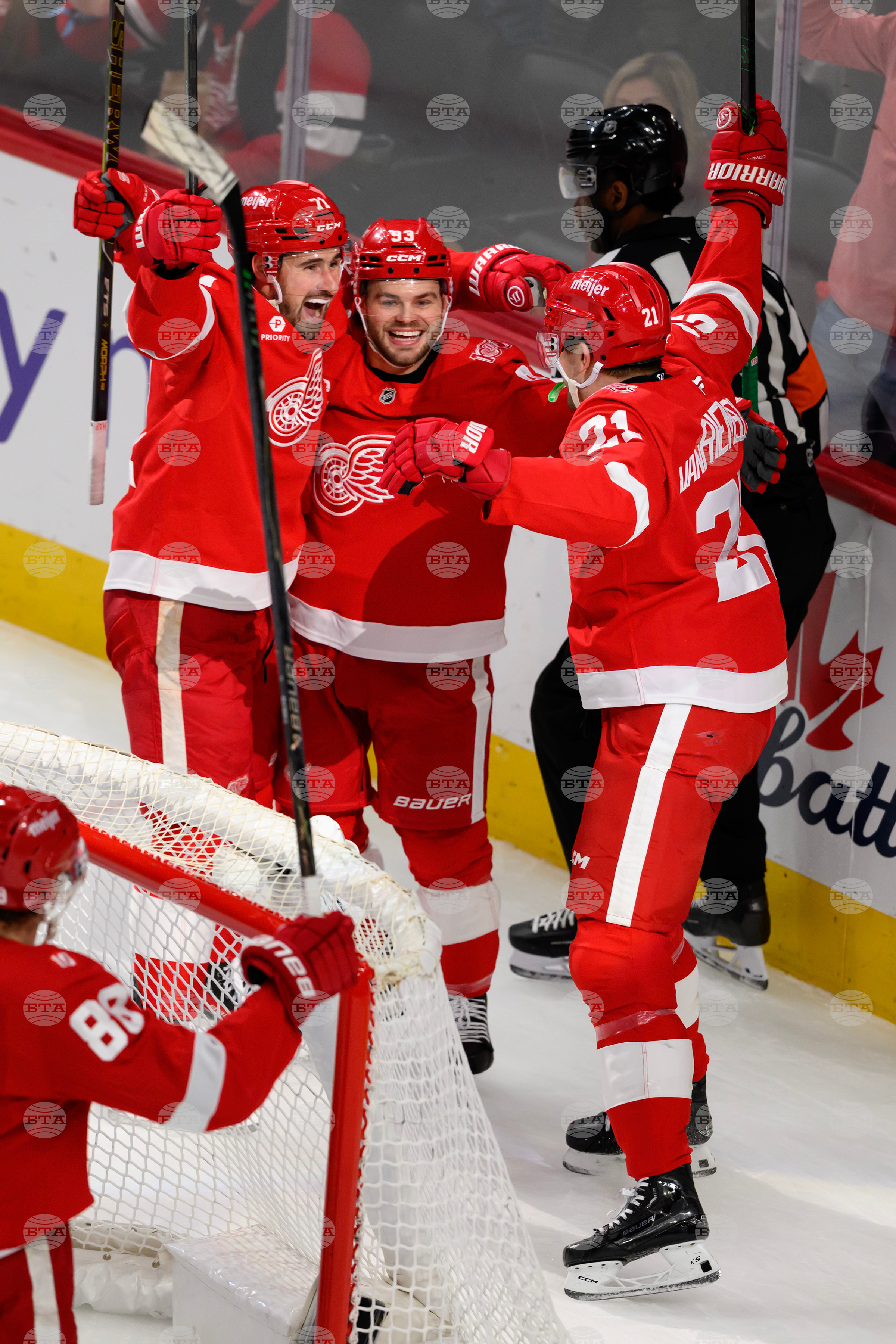 Senators Red Wings Hockey