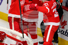 Senators Red Wings Hockey