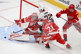 Senators Red Wings Hockey