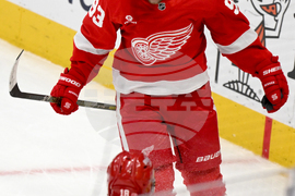 Senators Red Wings Hockey