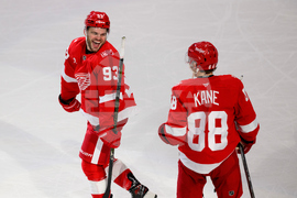 Senators Red Wings Hockey