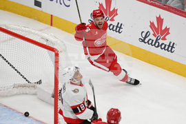 Senators Red Wings Hockey