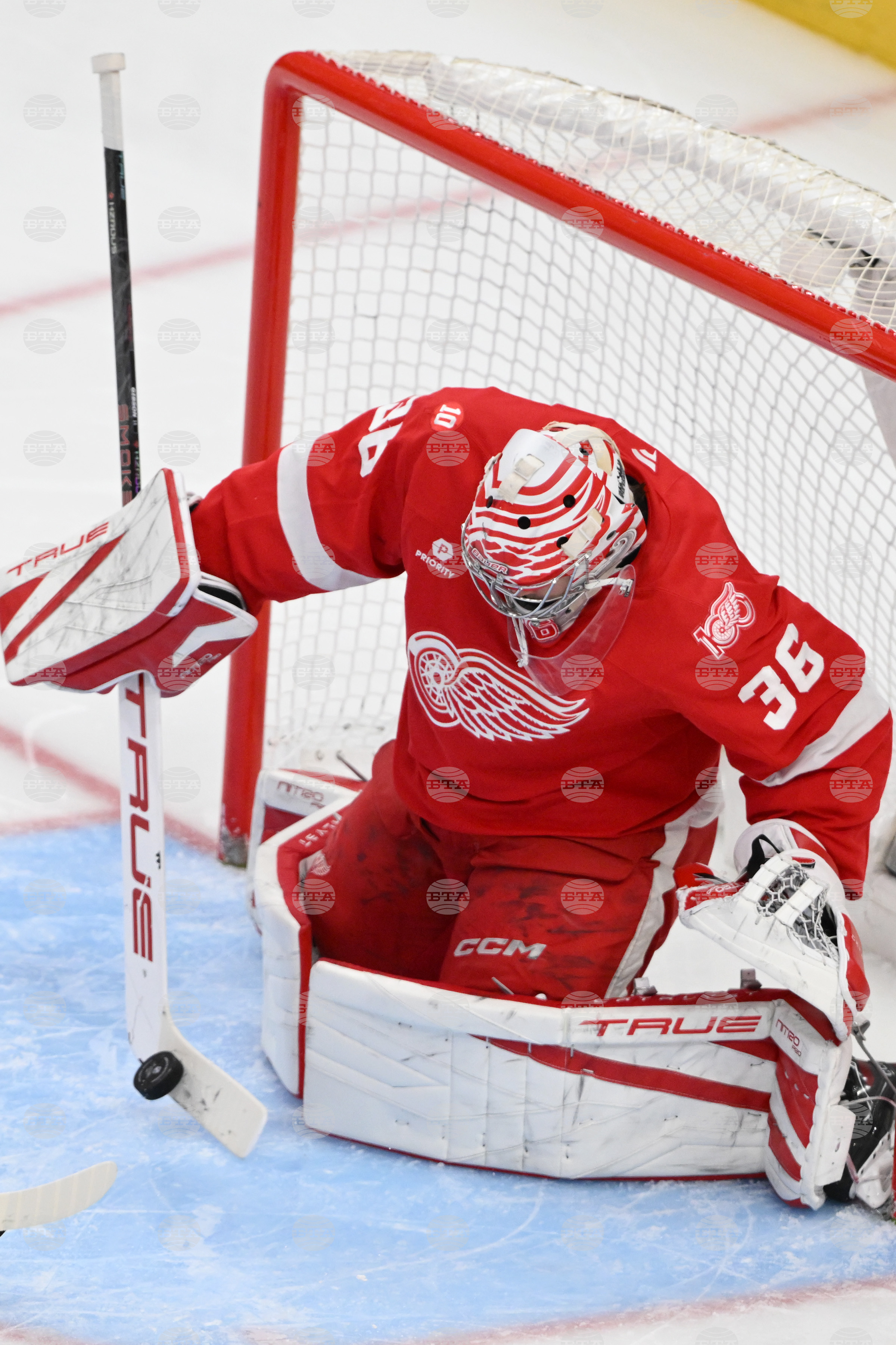 Senators Red Wings Hockey