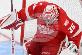 Senators Red Wings Hockey