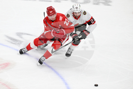 Senators Red Wings Hockey