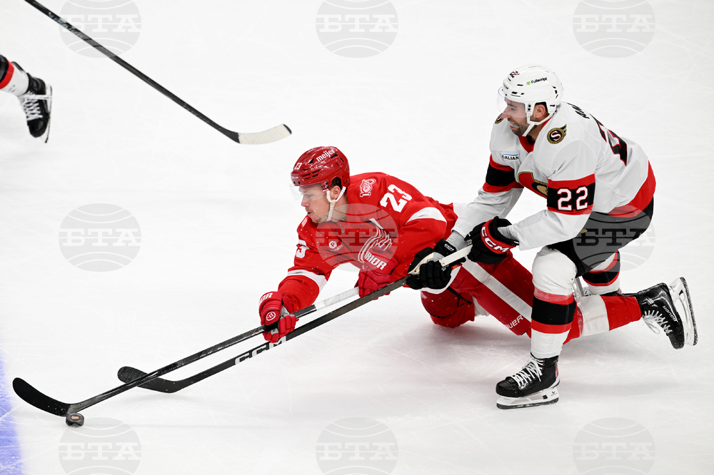 Senators Red Wings Hockey