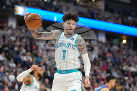 Hornets Nuggets Basketball