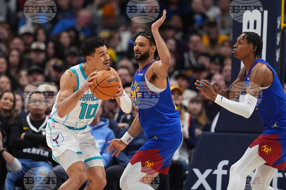 Hornets Nuggets Basketball