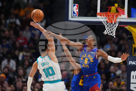 Hornets Nuggets Basketball