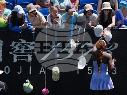 Australian Open Tennis