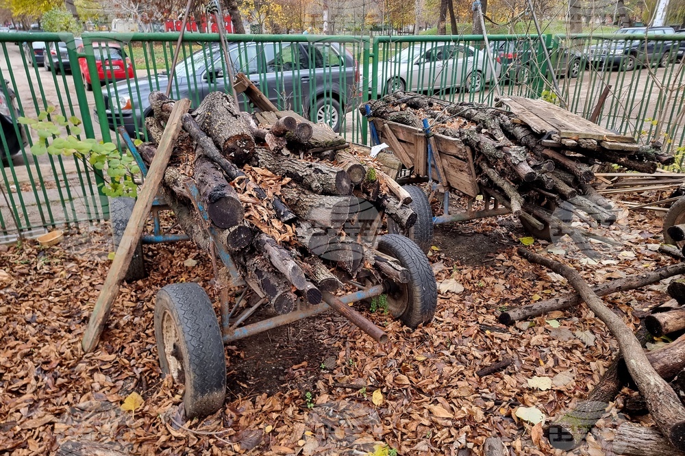 Три случая на незаконно добити дърва са разкрити в Монтанско, с падането на температурите те зачестяват