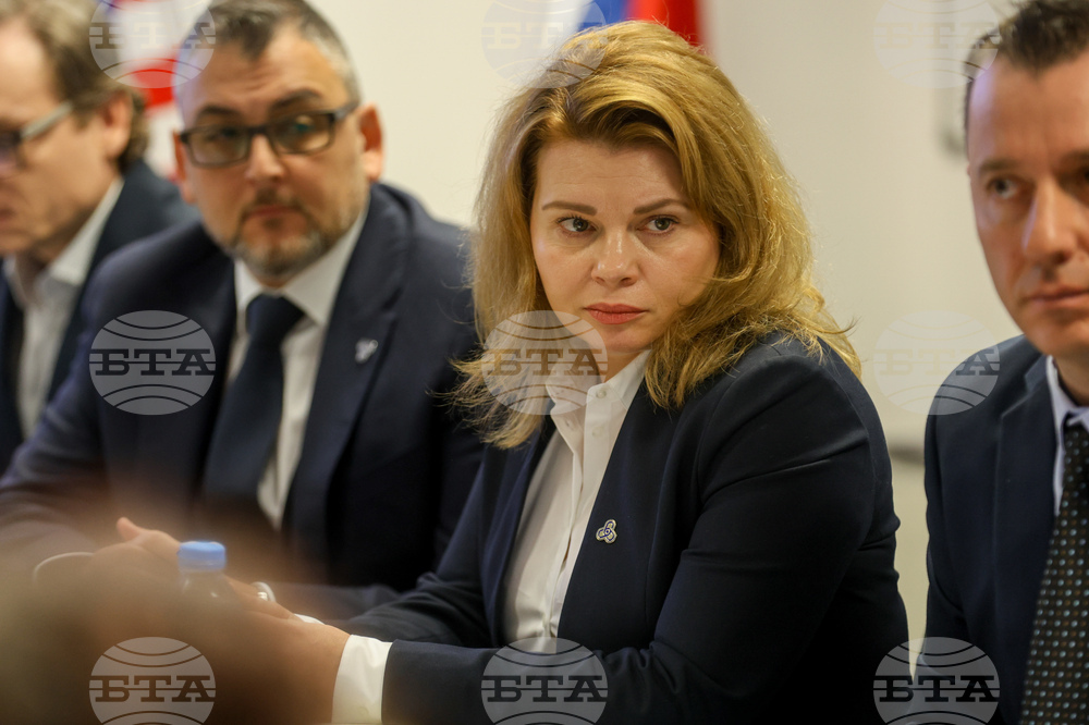 "АЕЦ Козлодуй - Нови мощности" - проект - представяне