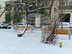 Румъния - Букурещ - зима