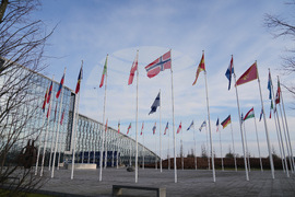 Belgium NATO Greenland Denmark