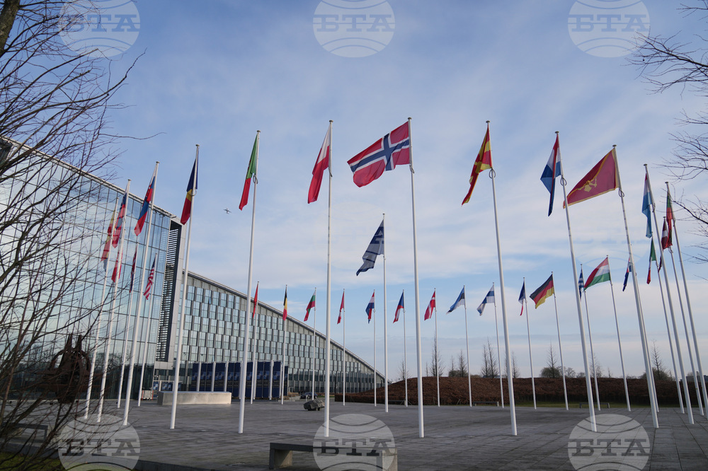 Belgium NATO Greenland Denmark