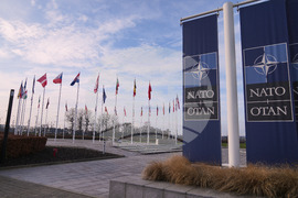 Belgium NATO Greenland Denmark