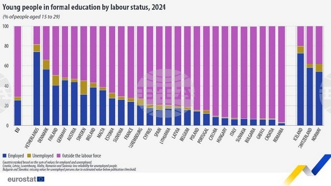 Всеки четвърти млад европеец е работил, докато е учил през 2024 г., сочат данни на Евростат