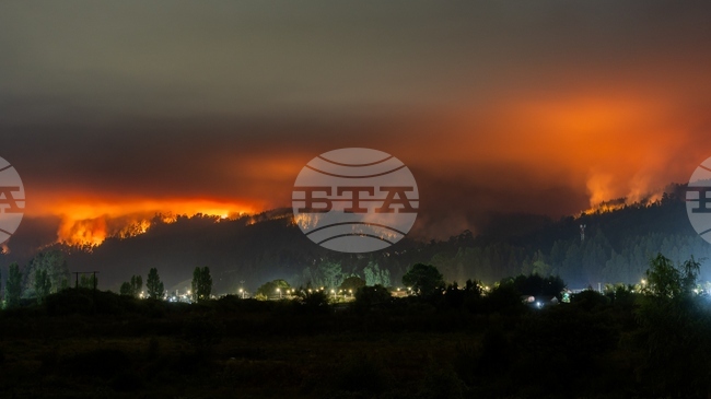 Най-малко 19 души загинаха при горските пожари в Чили