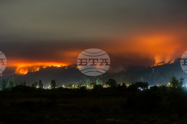 Най-малко 19 души загинаха при горските пожари в Чили