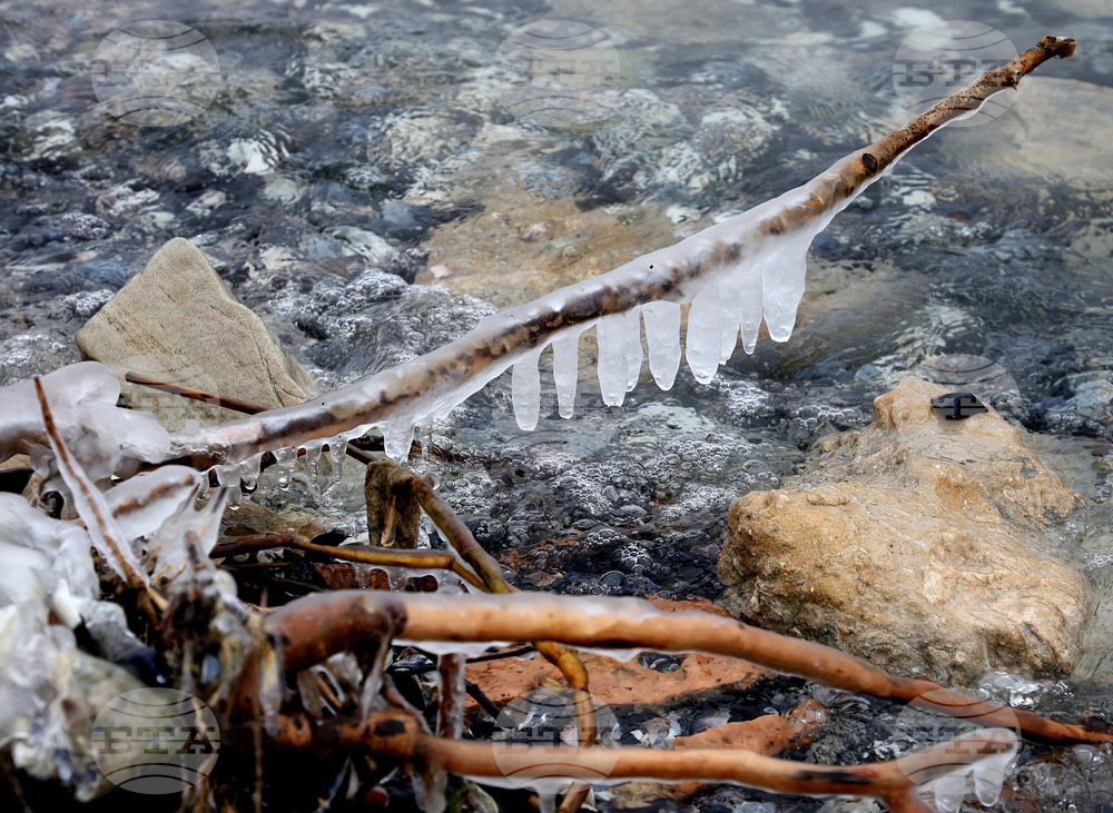 Варна - лебеди