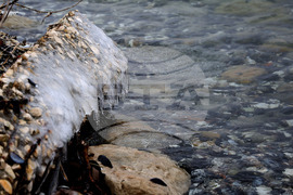 Варна - лебеди