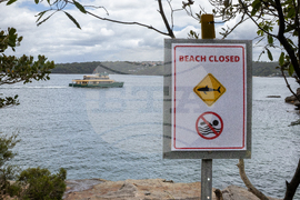 Australia Shark Attacks