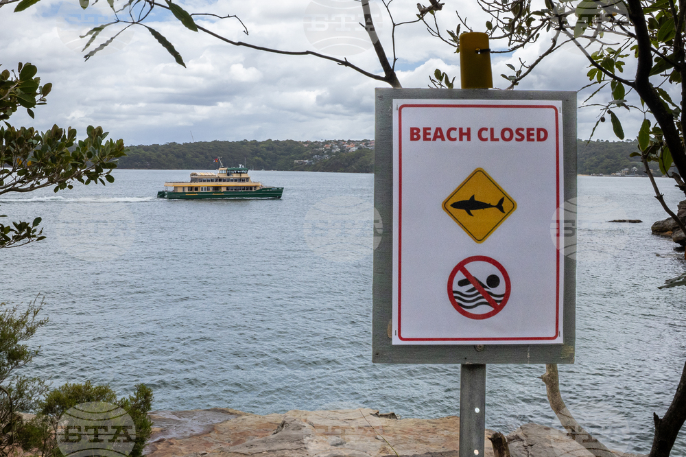 Australia Shark Attacks