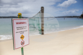 Australia Shark Attacks