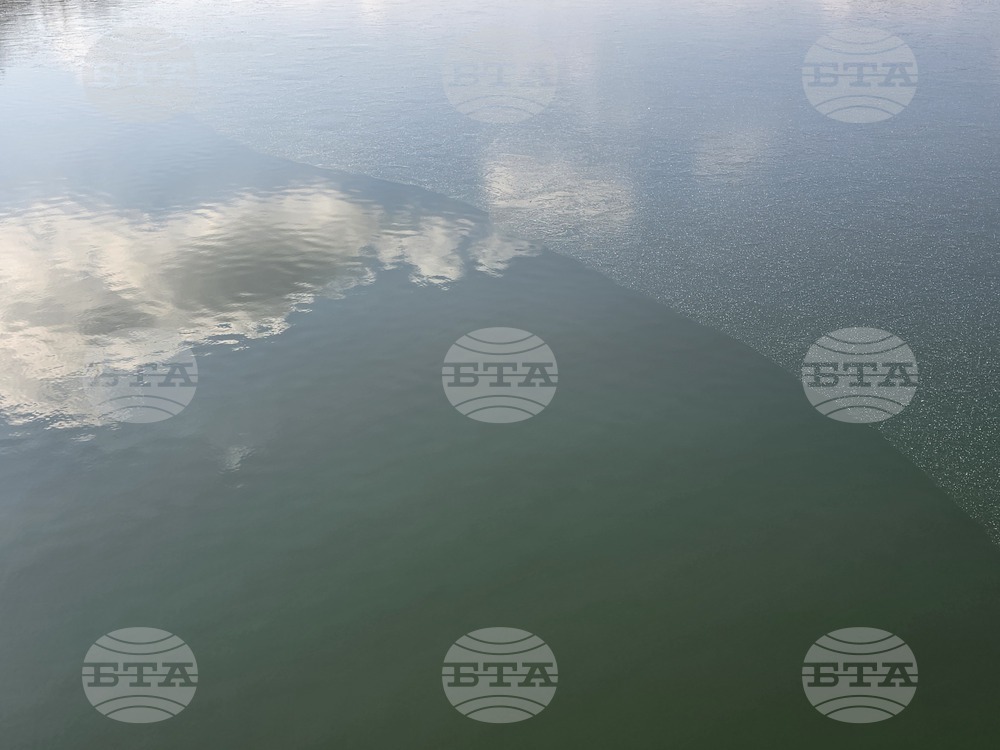 Пловдив - Гребен канал - лед