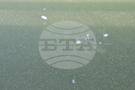 Пловдив - Гребен канал - лед