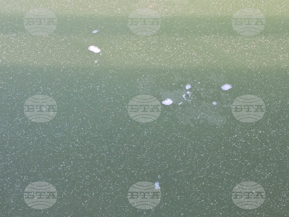 Пловдив - Гребен канал - лед